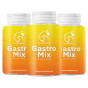 Gastro Mix – по-добро храносмилане и здрав стомах