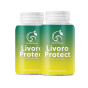 Livoro Protect – Защита на черния дроб