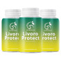 Livoro Protect – Защита на черния дроб