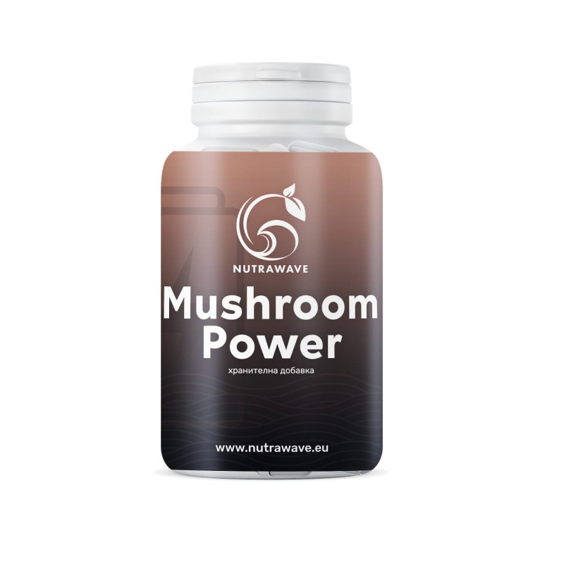 Mushroom Power – балансира имунната система