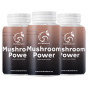 Mushroom Power – балансира имунната система